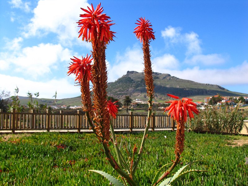 Porto Santo (28).jpg